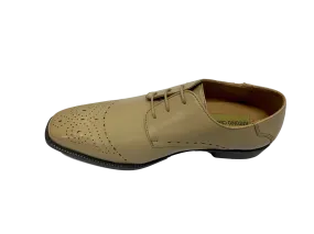 Antonio Cerrelli 6738 Oyster