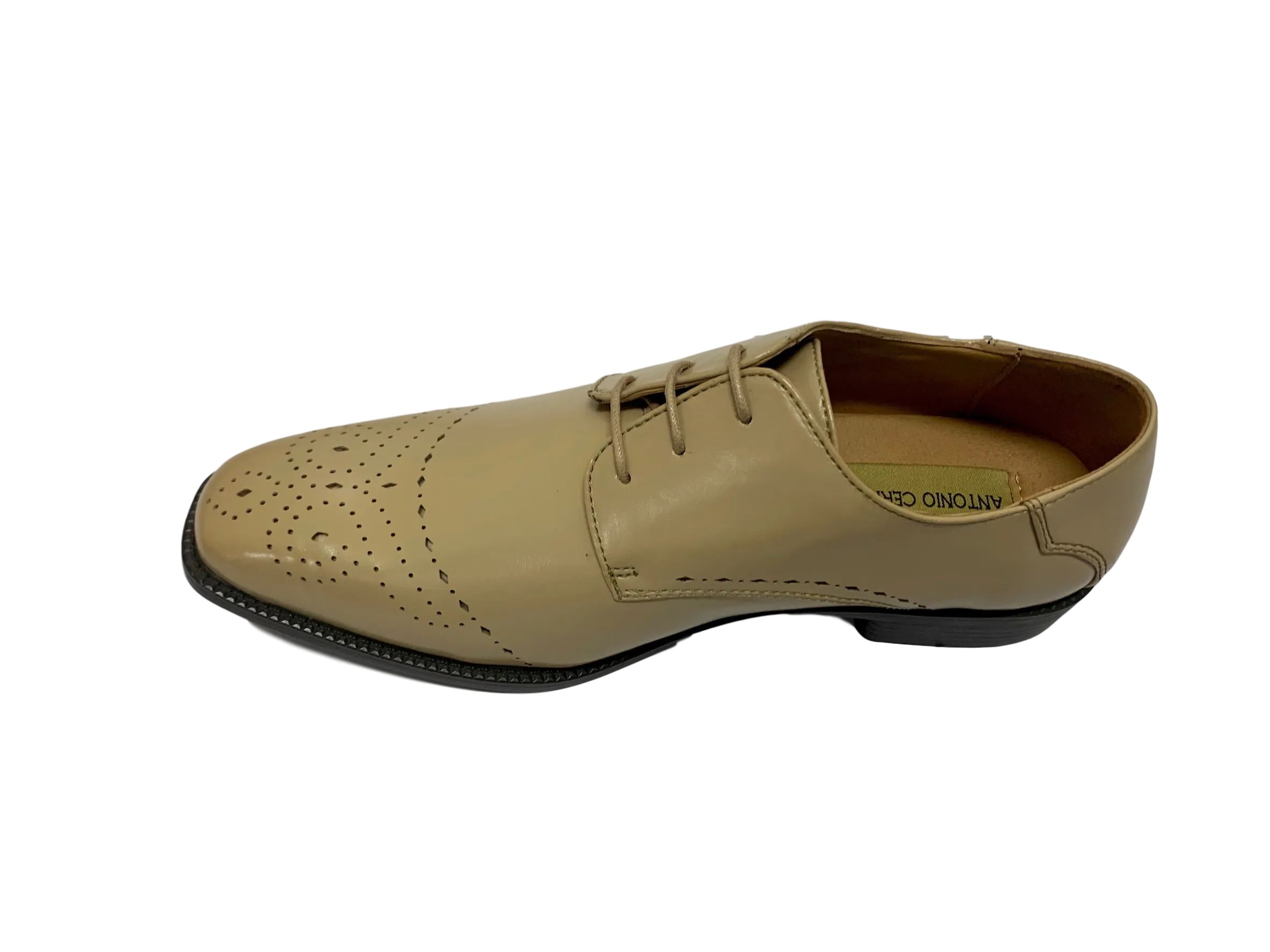 Antonio Cerrelli 6738 Oyster