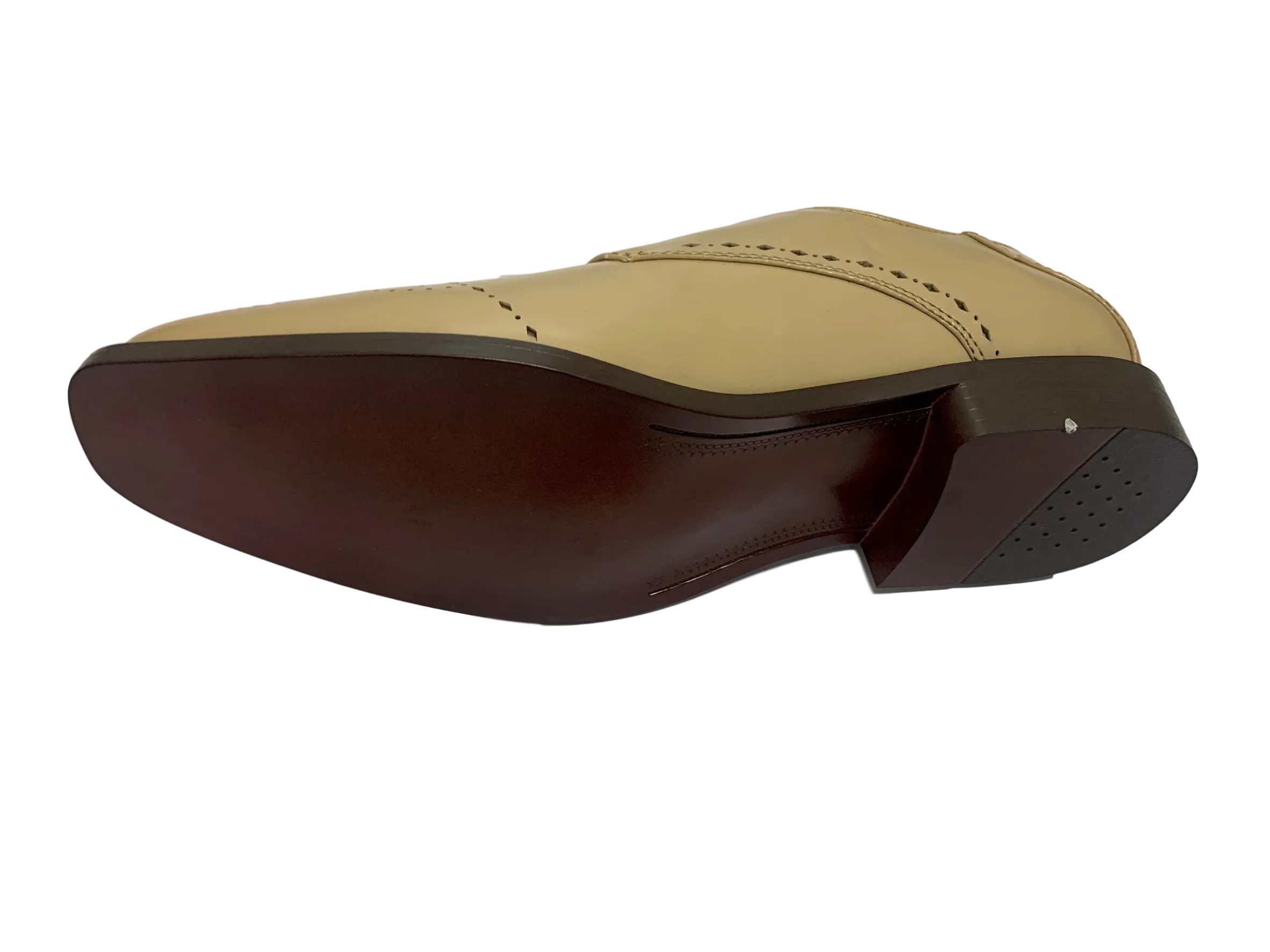 Antonio Cerrelli 6738 Oyster