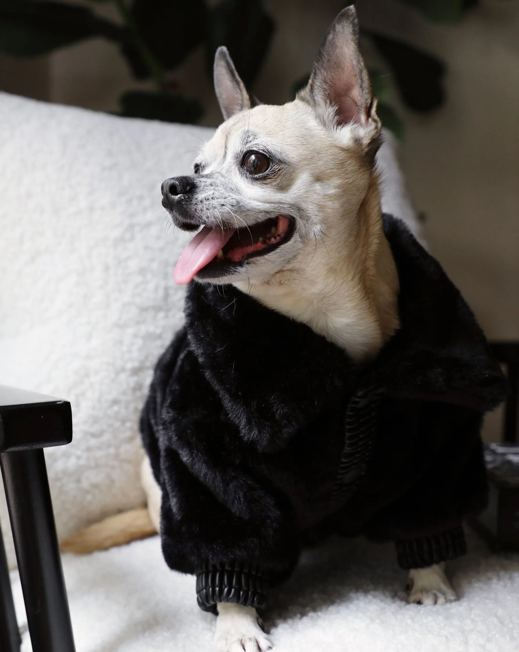 Broadway Black Faux Fur Dog Jacket