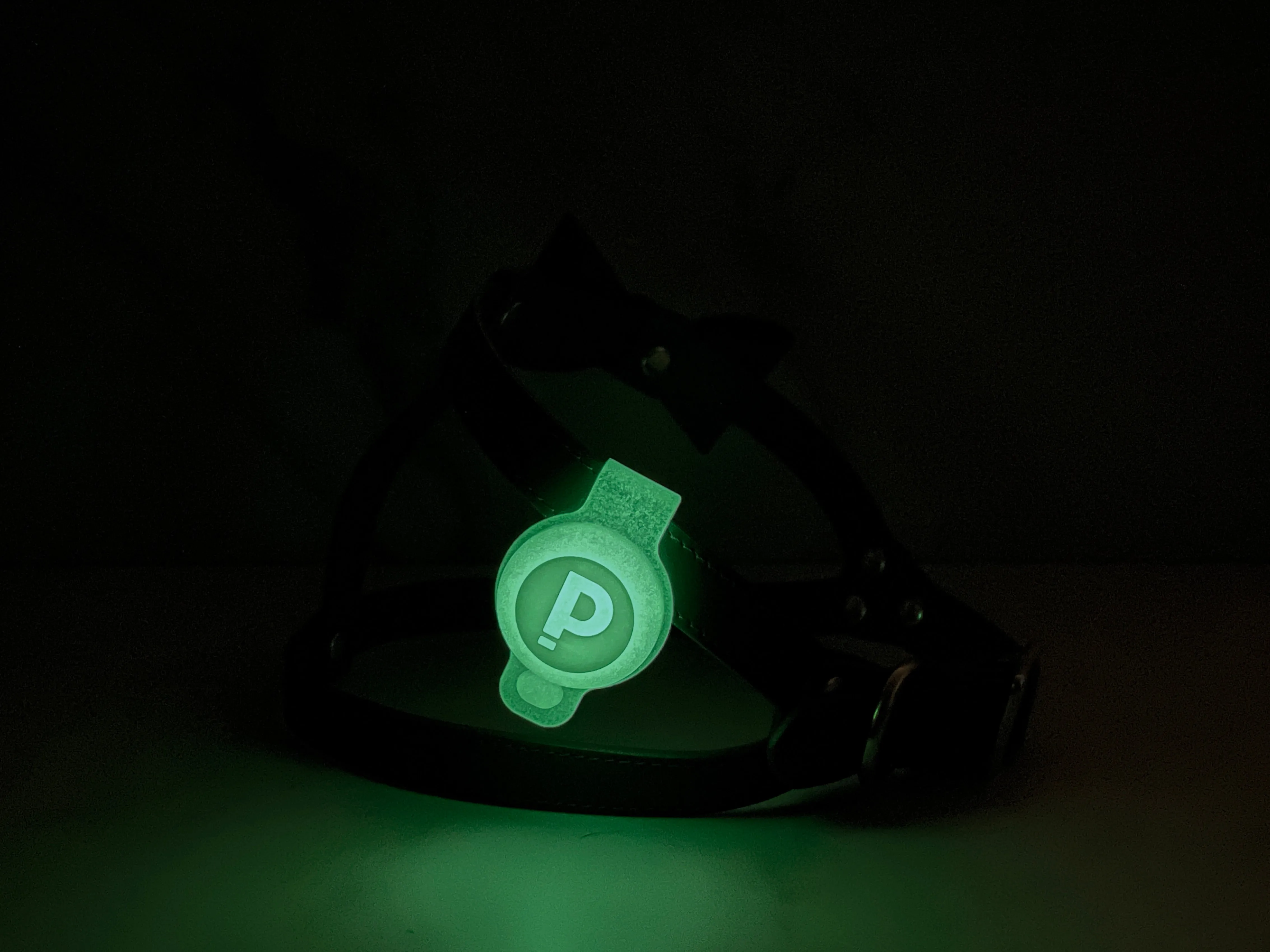 Glow in the Dark AirTag Case