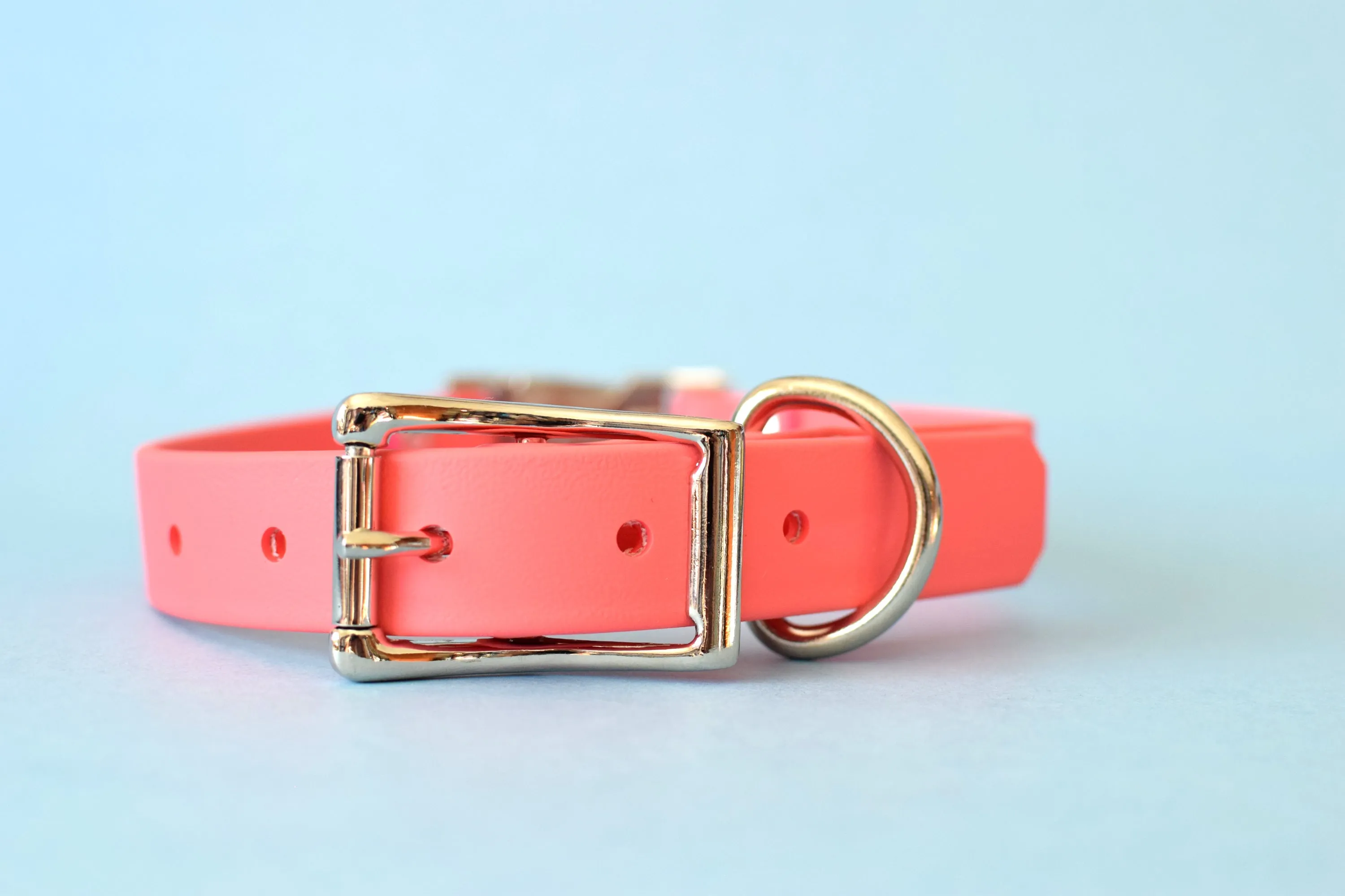 HARDWARE RETIREMENT SALE - Coral & Nickel Biothane Dog Collar