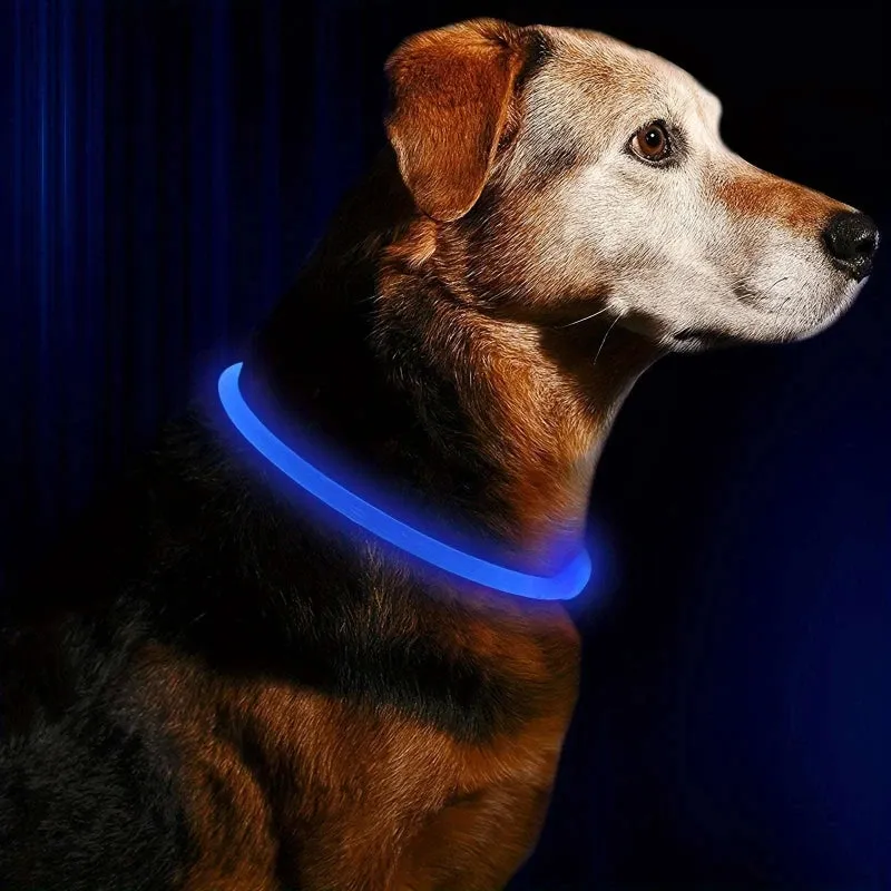 LED Light Dog Collar – Rechargeable & Adjustable for Safety