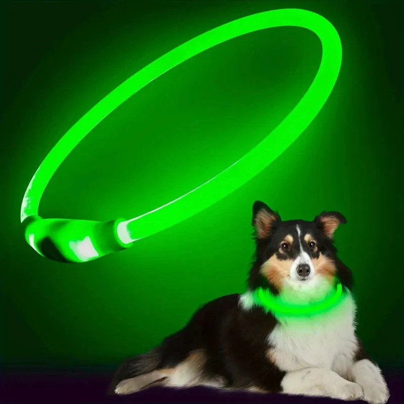 LED Light Dog Collar – Rechargeable & Adjustable for Safety