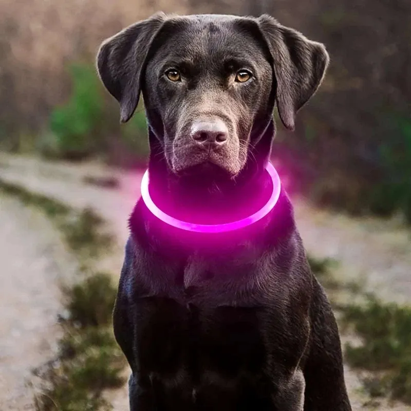 LED Light Dog Collar – Rechargeable & Adjustable for Safety