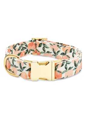 Peaches And Cream Dog Collar
