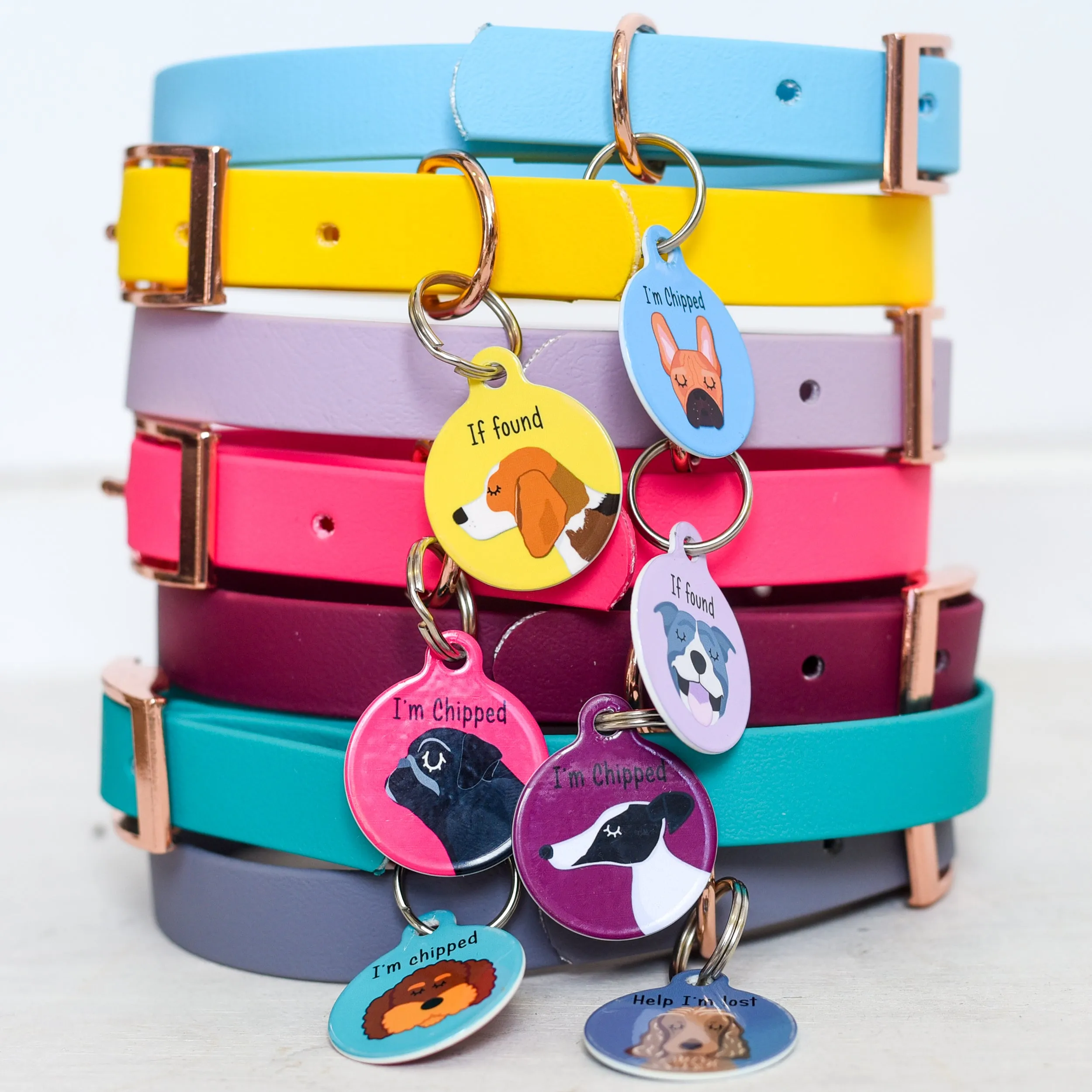 Personalised Dog Collar and Dog Tag
