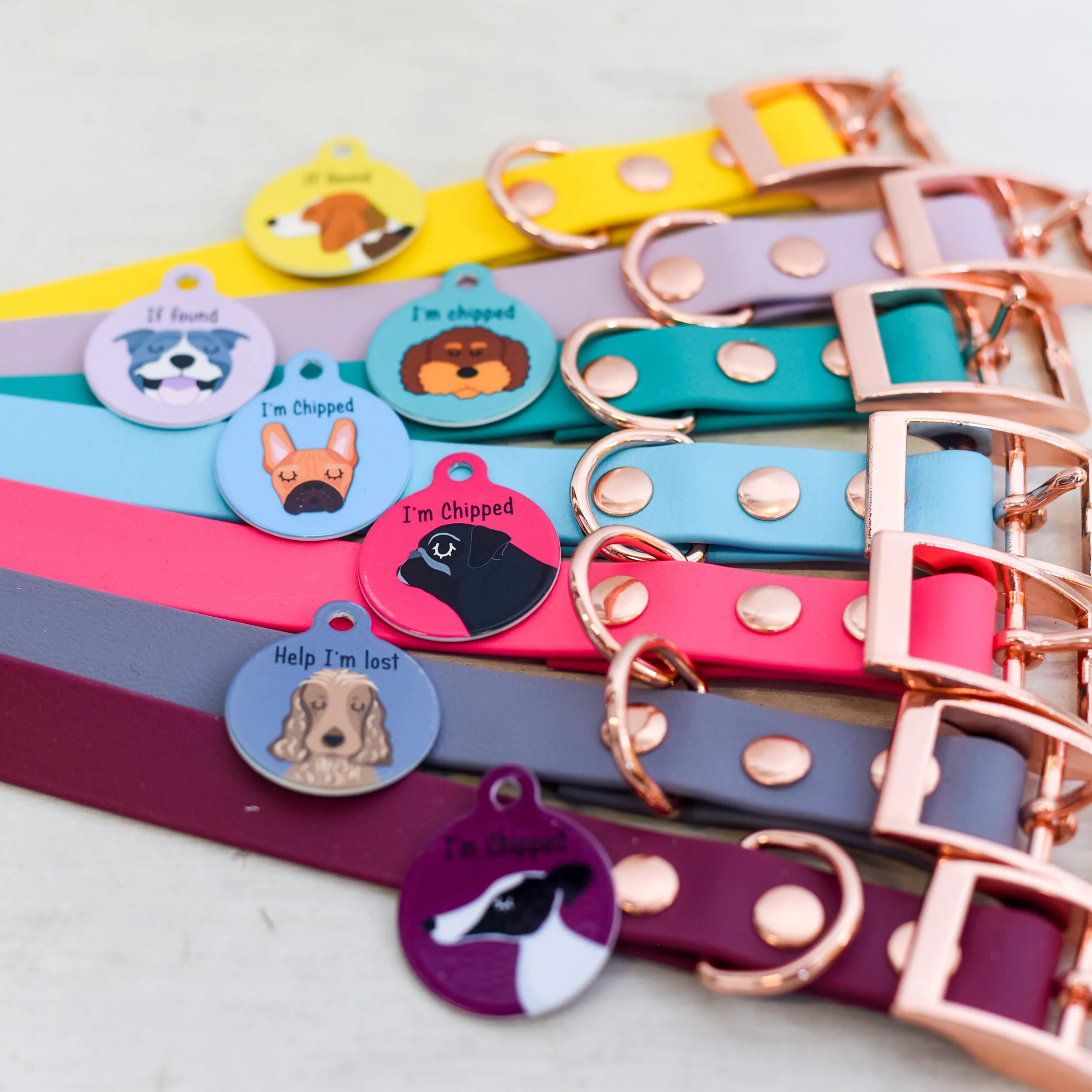 Personalised Dog Collar and Dog Tag