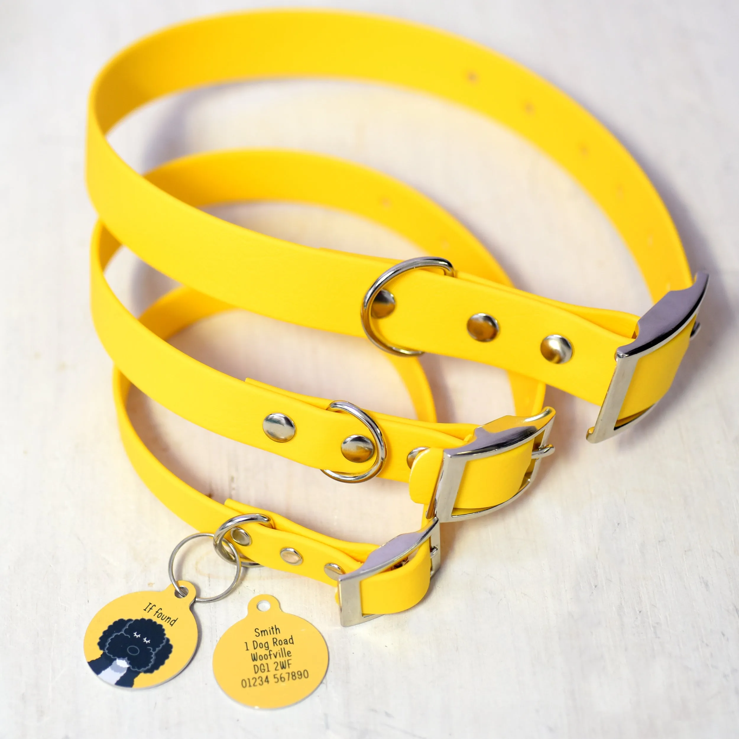 Personalised Dog Collar and Dog Tag