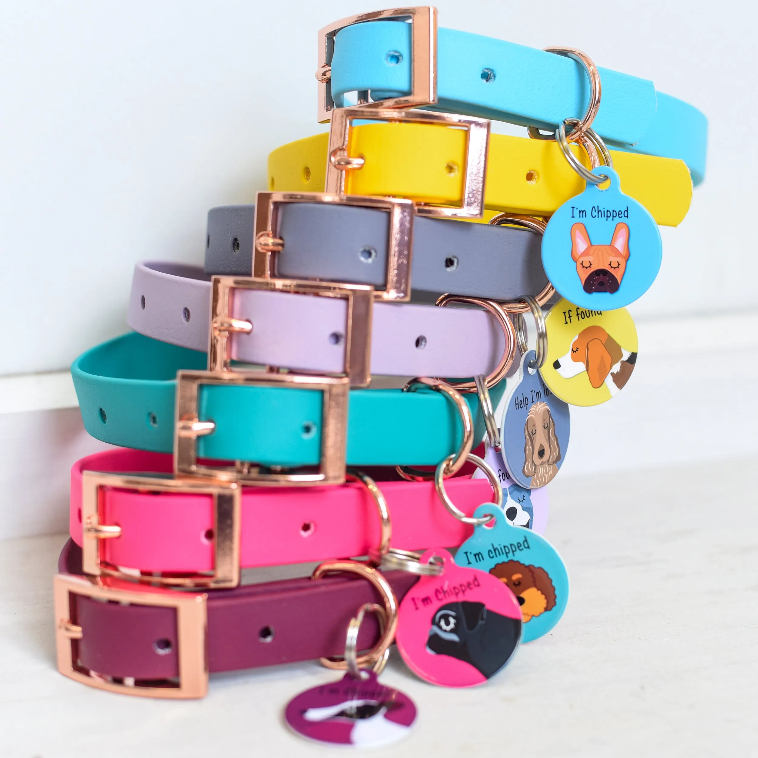 Personalised Dog Collar and Dog Tag