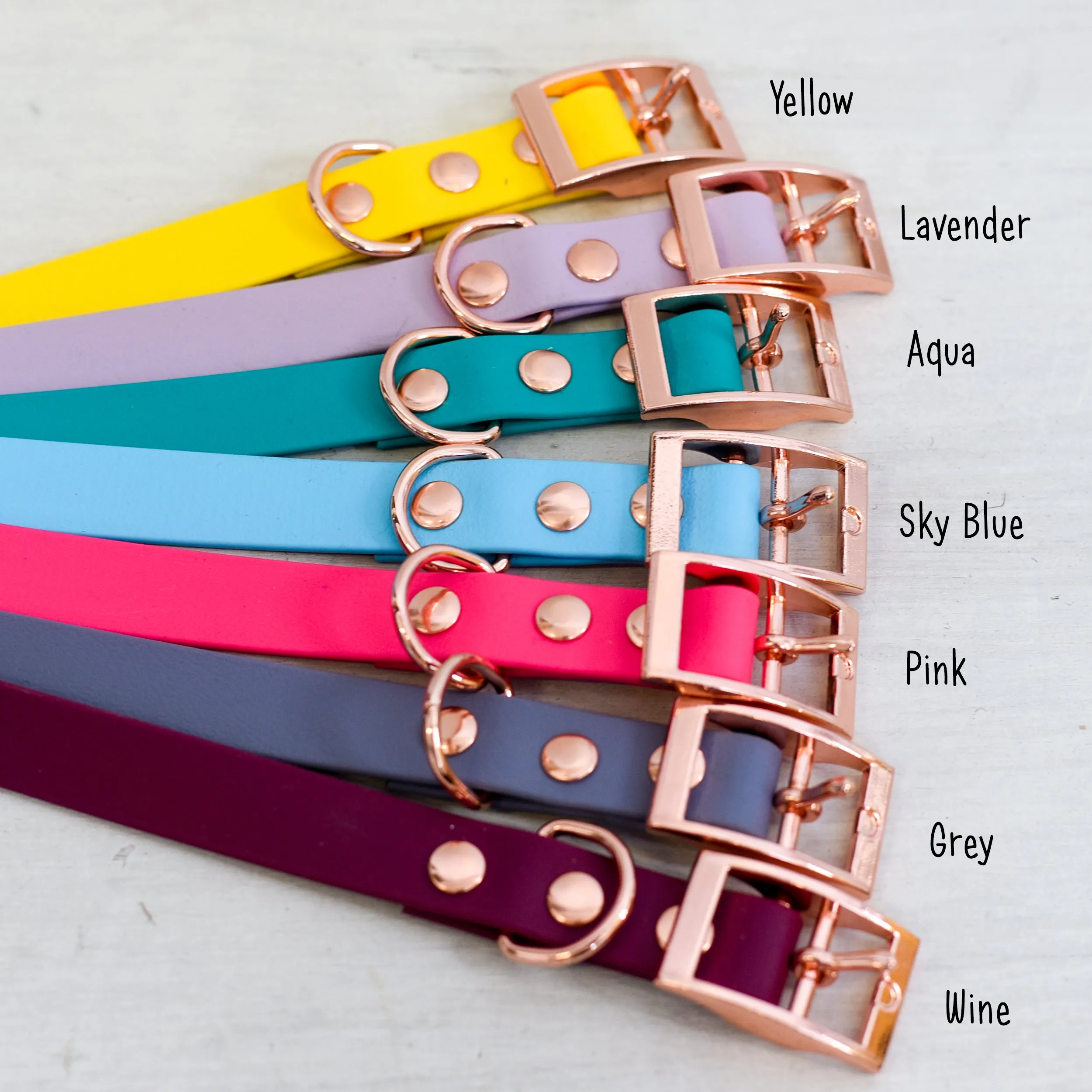 Personalised Dog Collar and Dog Tag