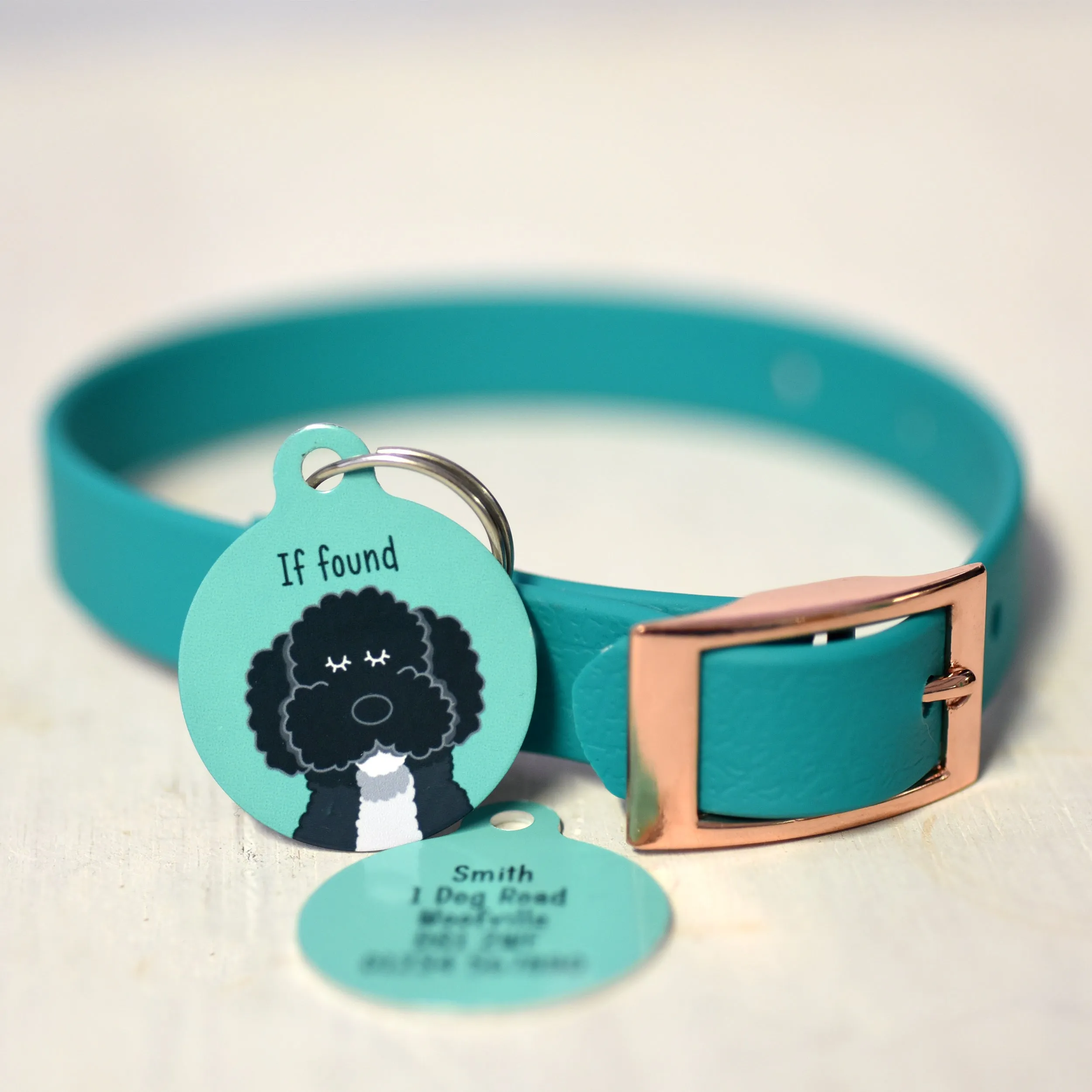 Personalised Dog Collar and Dog Tag
