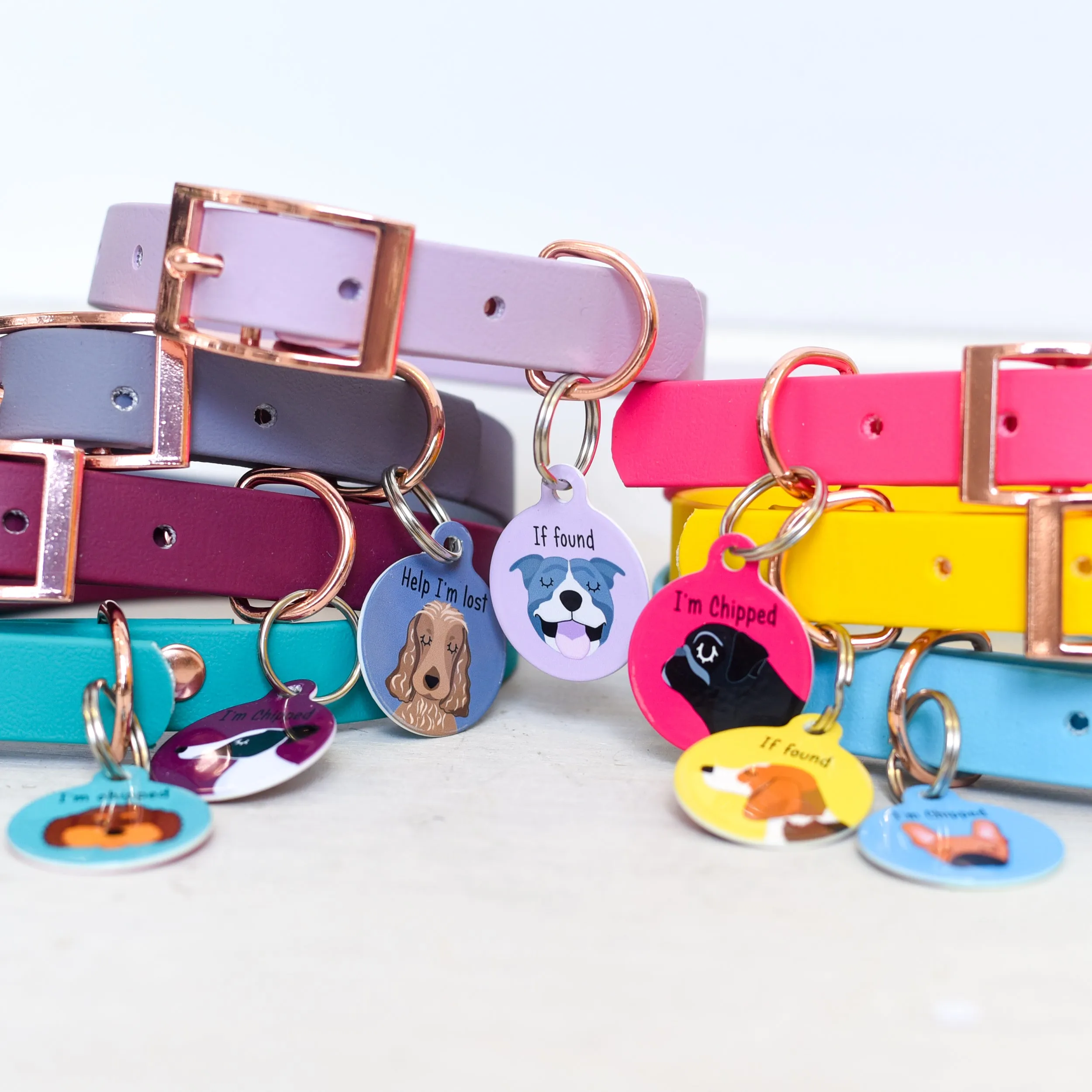 Personalised Dog Collar and Dog Tag