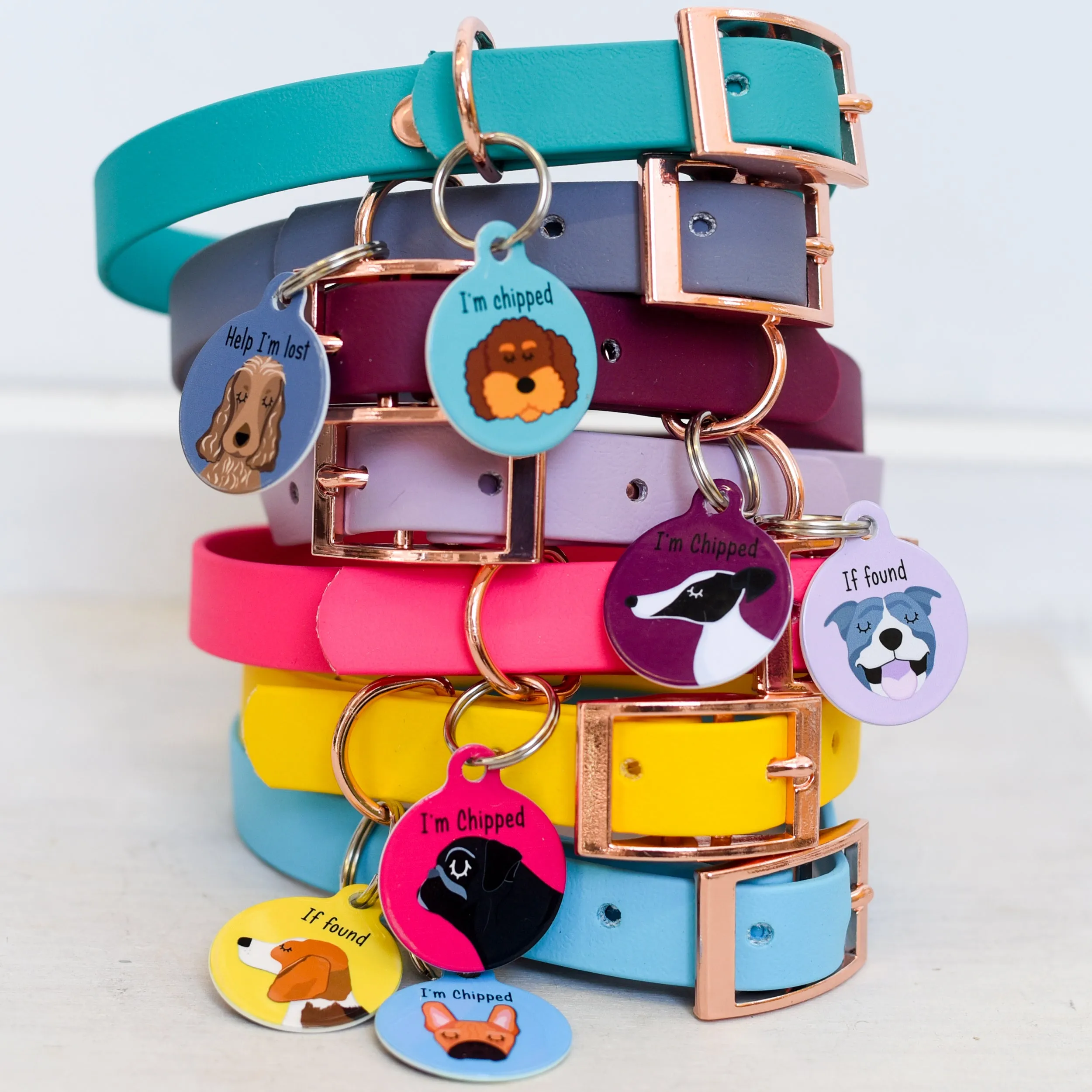 Personalised Dog Collar and Dog Tag