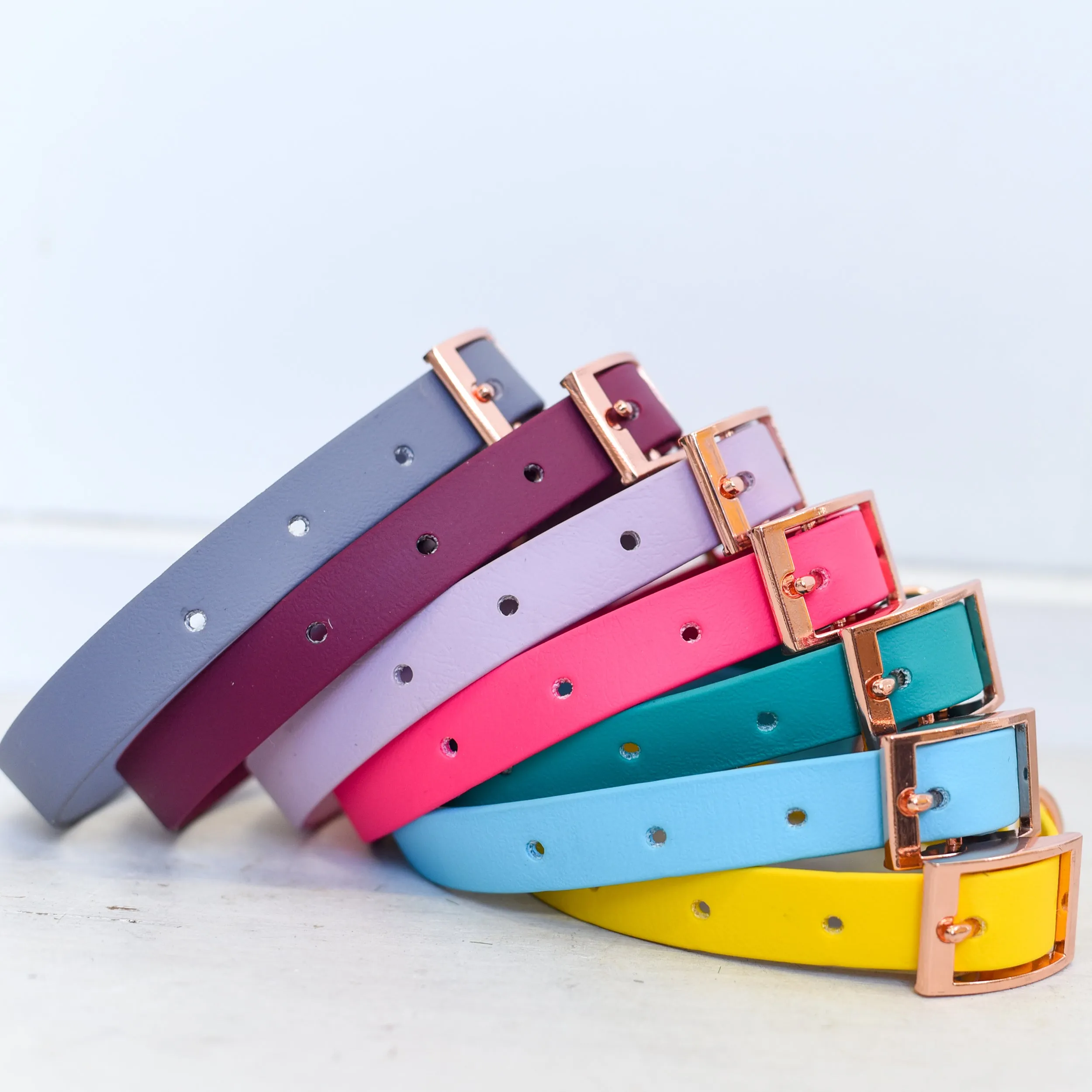 Personalised Dog Collar and Dog Tag