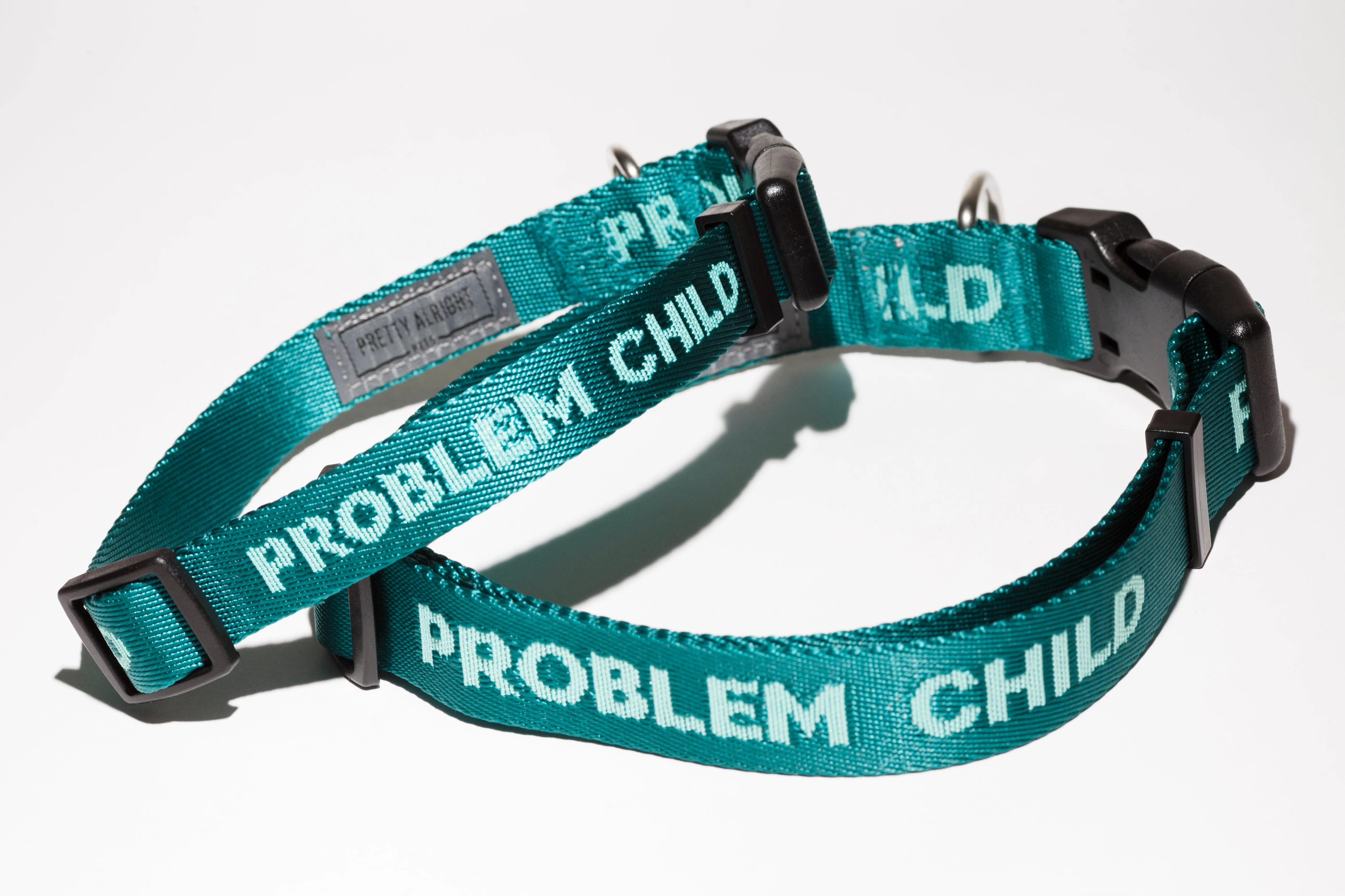 Problem Child (Teal) Dog Collar