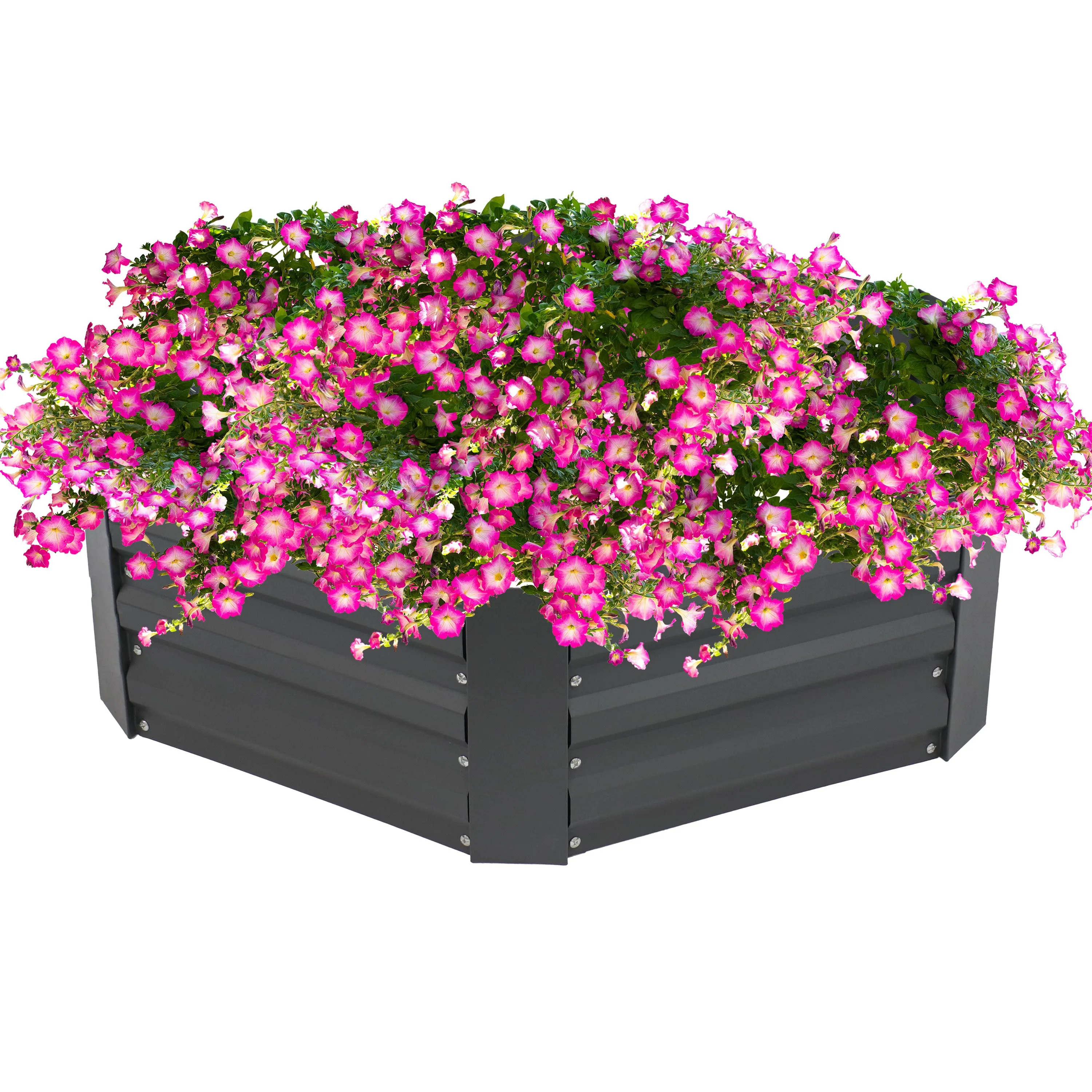 Sunnydaze Galvanized Steel Hexagon Raised Garden Bed - 12.25" H