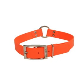 Water & Woods Hound Dog Collar with Center Ring